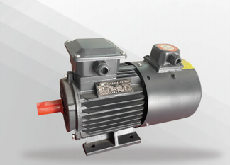 YVF2 高效率變頻調(diào)速三相異步電動機